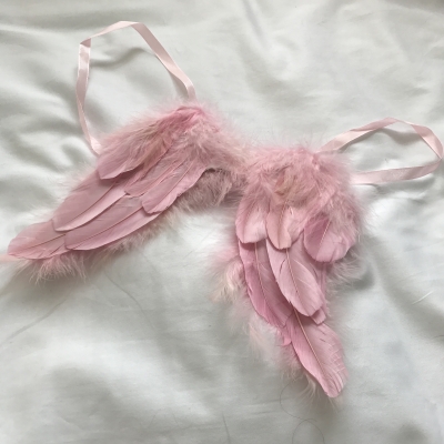 Anjelske krídla ružové malé